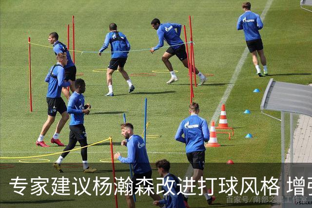 专家建议杨瀚森改进打球风格 增强蓝领特点