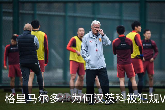 格里马尔多：为何汉茨科被犯规VAR却无动于衷？我们需得到解释